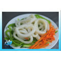 frozen fresh processed squid ring